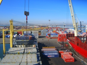 1147529_4983515925022_1540730441_o